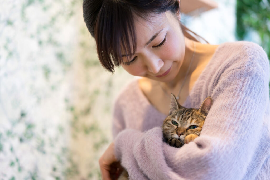 猫を迎えて素敵な家族になるために