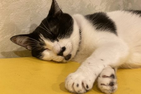 ひだまり号|ふれあいコーナー ひだまり号|ふれあいコーナー